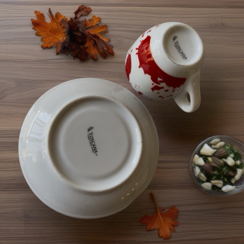 TOSCANA Vintage Red and Blue Espresso Cup Set - Picture 10 of 10